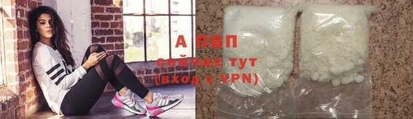 СК Горно-Алтайск