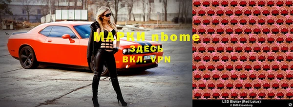 apvp Горнозаводск