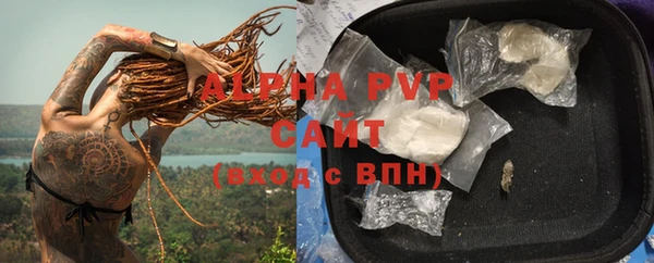 СК Горно-Алтайск